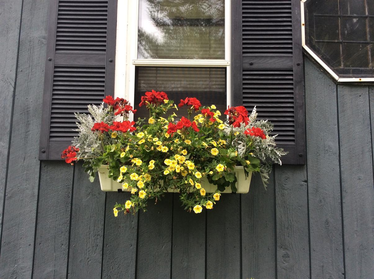 Firefly Bed & Breakfast Lincoln Екстериор снимка