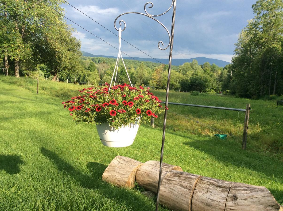 Firefly Bed & Breakfast Lincoln Екстериор снимка