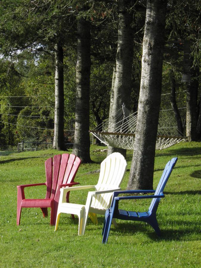 Firefly Bed & Breakfast Lincoln Екстериор снимка
