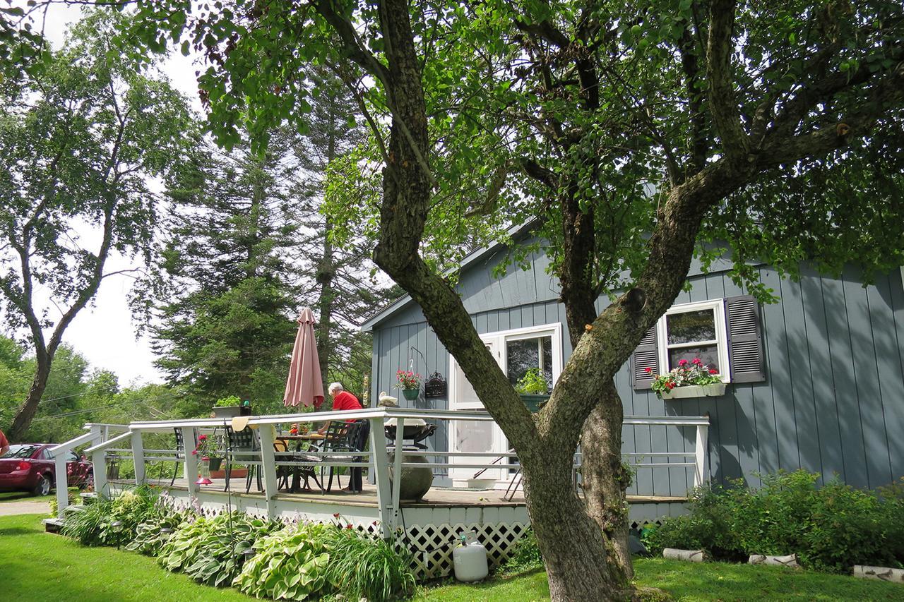 Firefly Bed & Breakfast Lincoln Екстериор снимка