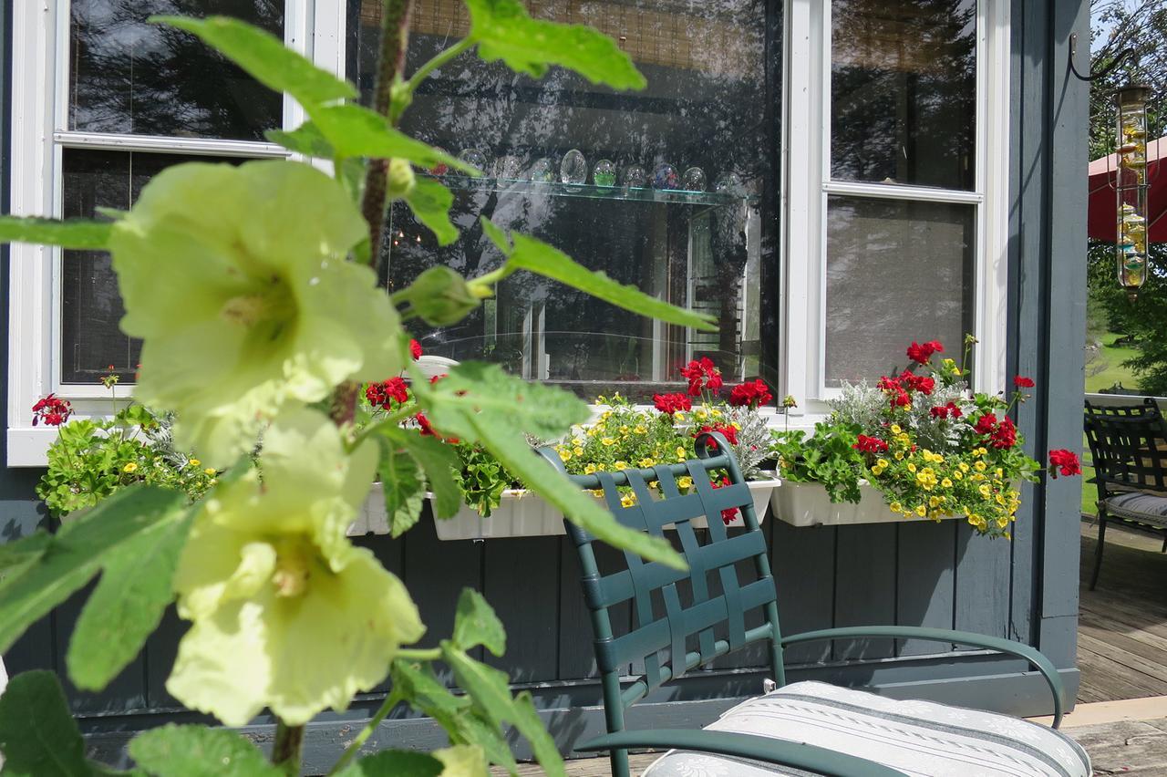 Firefly Bed & Breakfast Lincoln Екстериор снимка