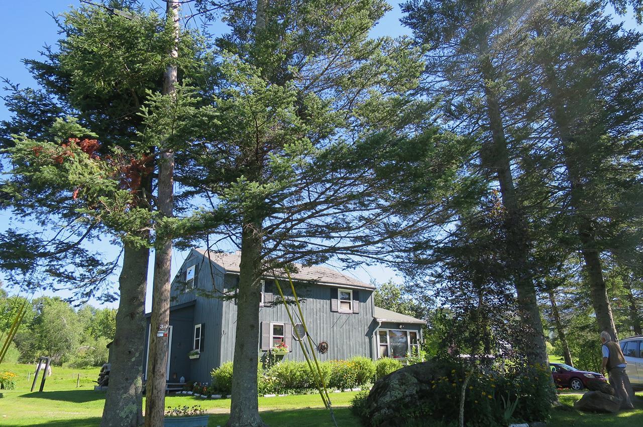 Firefly Bed & Breakfast Lincoln Екстериор снимка