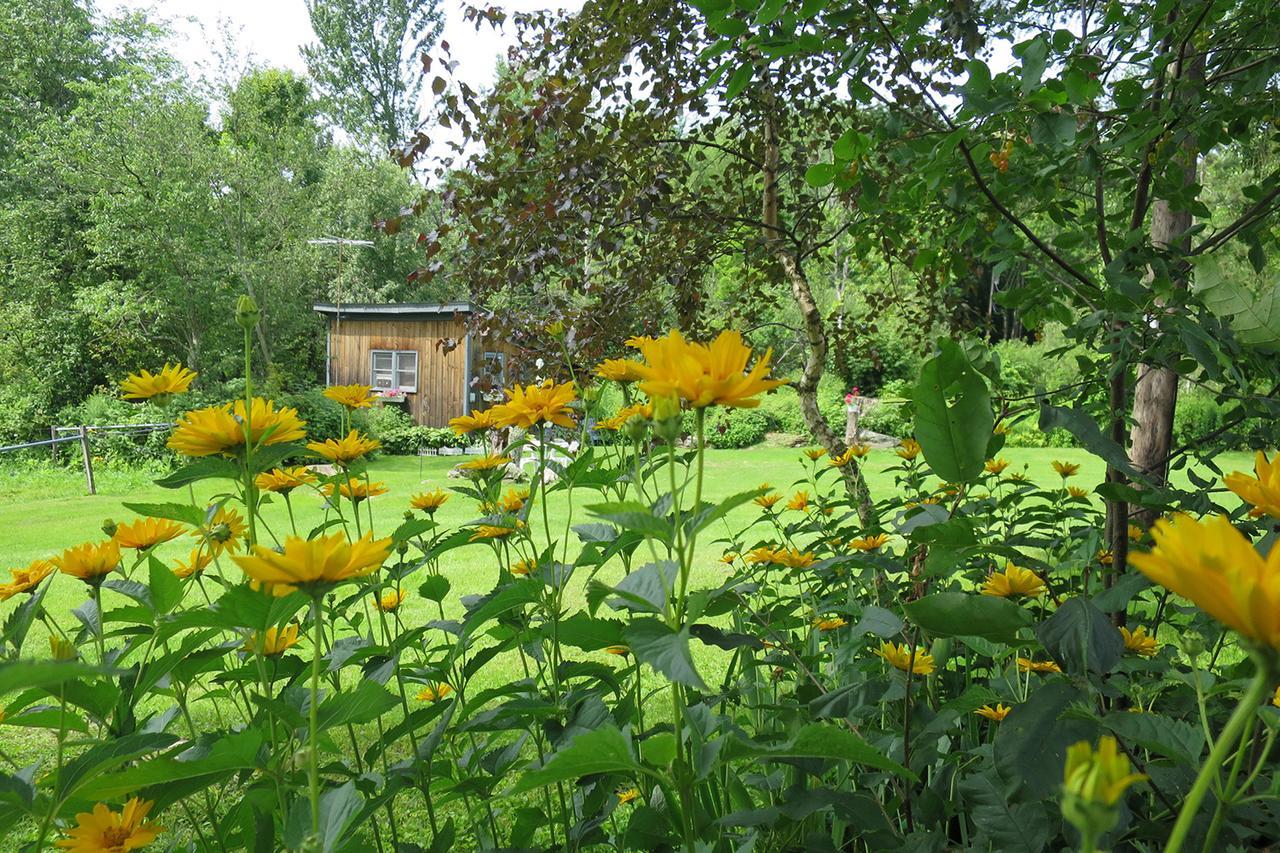Firefly Bed & Breakfast Lincoln Екстериор снимка