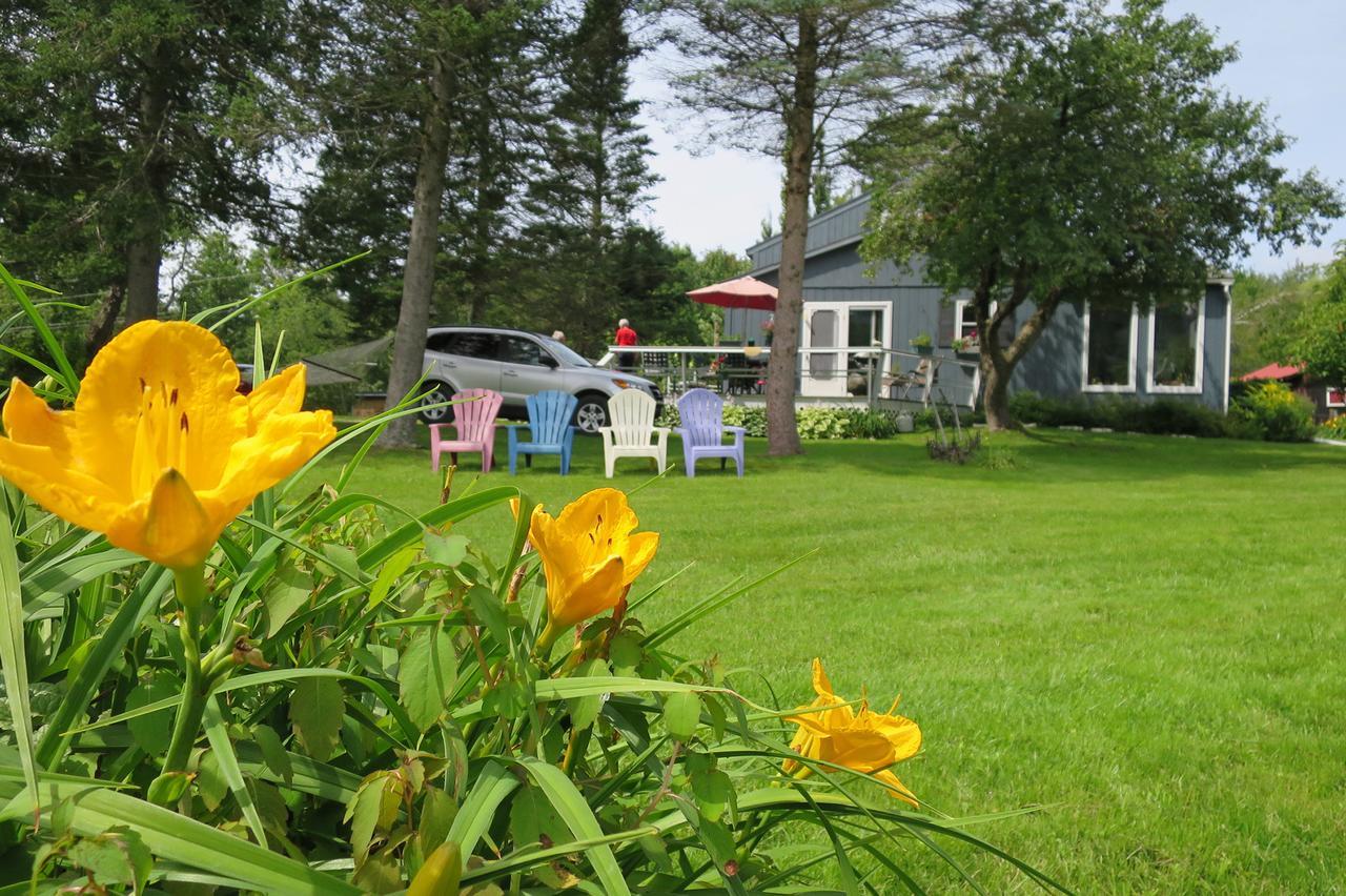 Firefly Bed & Breakfast Lincoln Екстериор снимка