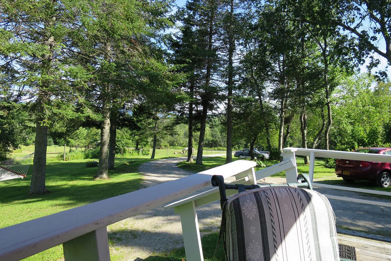 Firefly Bed & Breakfast Lincoln Екстериор снимка